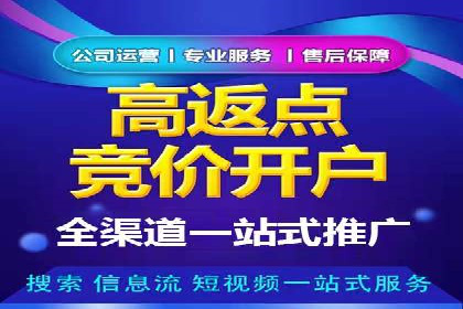 搜索引擎营销（SEM）广告投放的技巧与经典案例